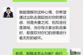 鼎城侦探取证：夫妻共有财产分割原则